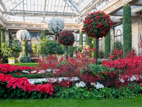 Brown S Orchard Farm Markets Christmas At Longwood Garden Bus