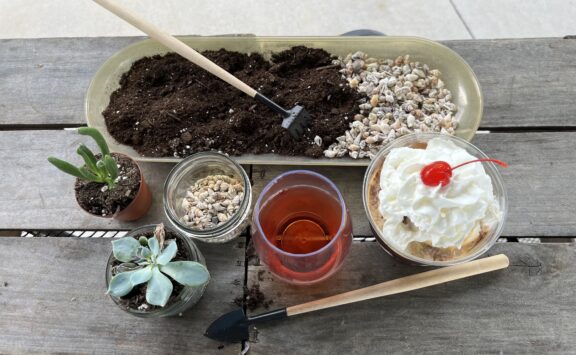 Succulents, Sips & Sundaes-SOLD OUT