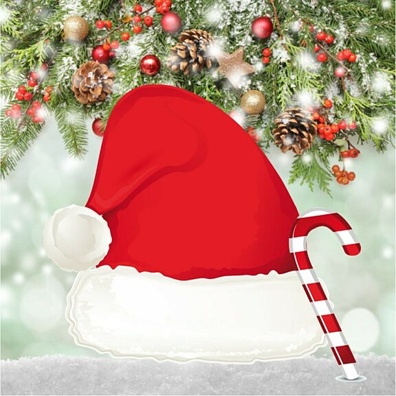 Santa Visit