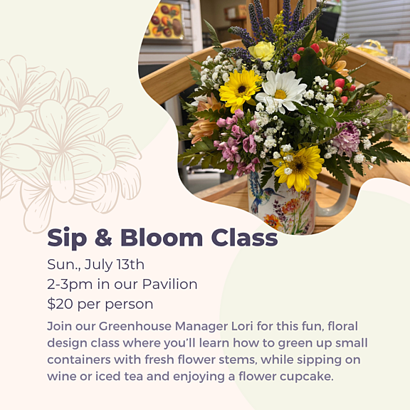 Sip & Bloom Class