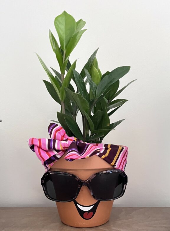 Terracotta Pot Paint & Sip